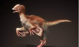 Eosinopteryx Dinosaur