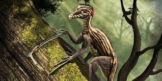 Epidendrosaurus Dinosaur