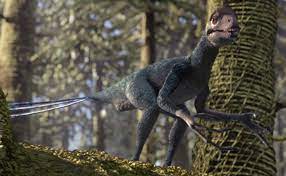 Epidexipteryx Dinosaur