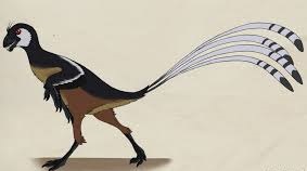 Epidexipteryx 
