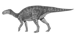 Equijubus Dinosaur