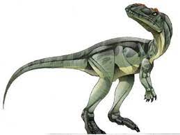 Erectopus Dinosaur
