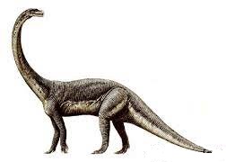 Euskelosaurus Dinosaur