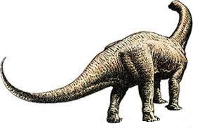 Euskelosaurus 