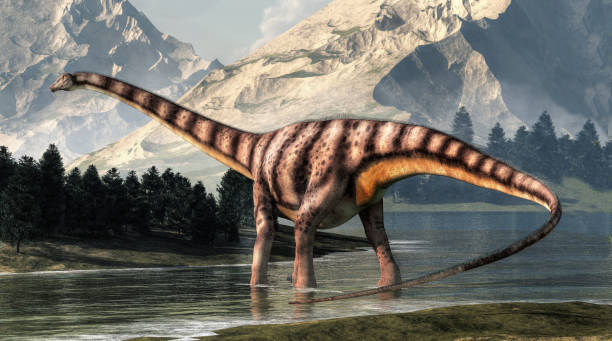 Fabrosaurus Dinosaur
