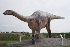 Ferganasaurus Dinosaur