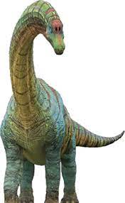 Futalognkosaurus Dinosaur