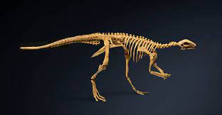 Gasparinisaura 