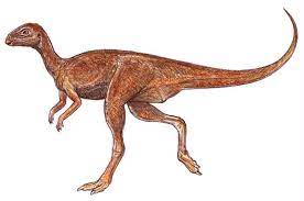 Gasparinisaura 