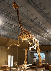 Gigantoraptor 