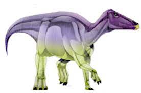 Gilmoreosaurus 