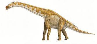 Giraffatitan Dinosaur