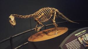 Glacialisaurus 