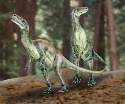 Guaibasaurus Dinosaur
