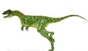 Halticosaurus Dinosaur