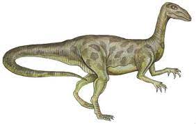 Halticosaurus 
