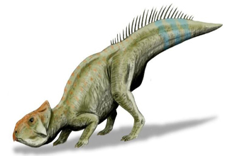 Leptoceratops Dinosaur
