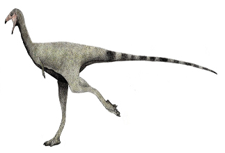 Limusaurus 
