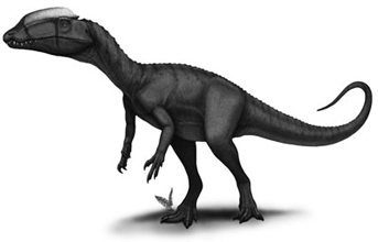 Lophostropheus Dinosaur