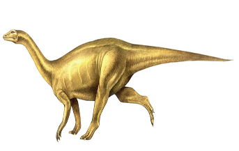 Lufengosaurus Dinosaur