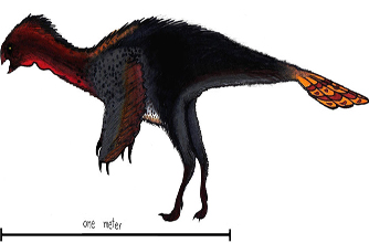 Machairasaurus Dinosaur