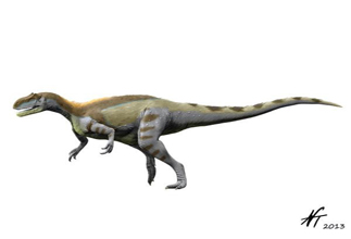 Magnosaurus Dinosaur
