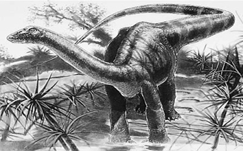 Magyarosaurus 