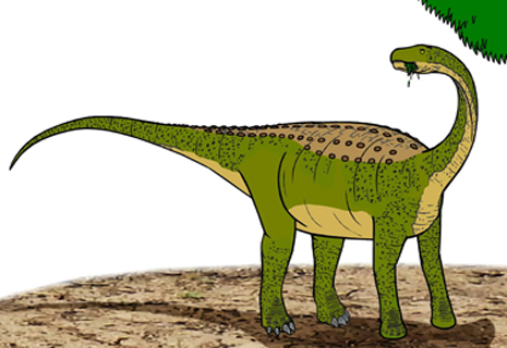 Magyarosaurus Dinosaur