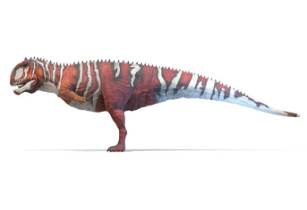 Majungasaurus 