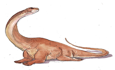 Malawisaurus 