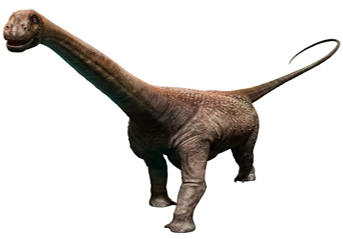 Malawisaurus 