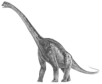 Malawisaurus Dinosaur