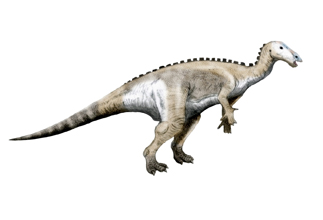Mantellisaurus 