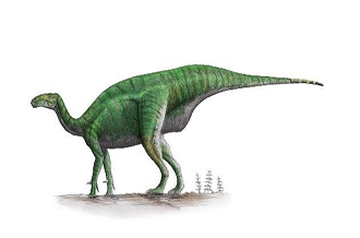 Mantellisaurus 