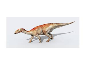 Mantellisaurus Dinosaur