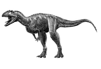 Marshosaurus Dinosaur