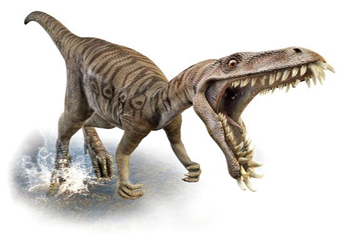 Masiakasaurus Dinosaur