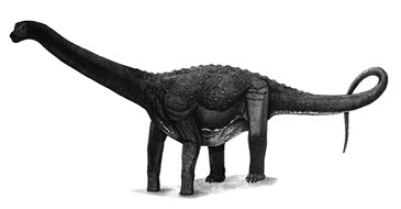 Maxakalisaurus Dinosaur