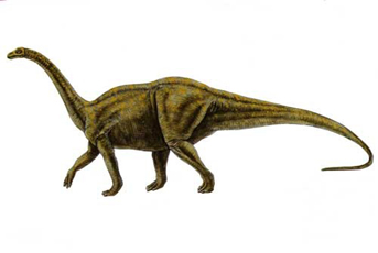 Melanorosaurus 