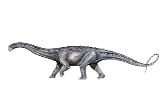 Mendozasaurus Dinosaur