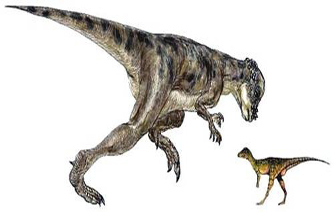 Micropachycephalosaurus 