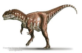 Micropachycephalosaurus 