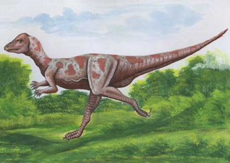 Micropachycephalosaurus Dinosaur