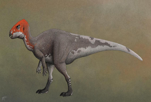Mochlodon Dinosaur