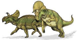 Montanoceratops 