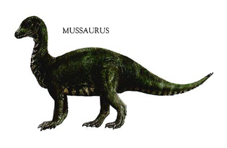 Mussaurus 