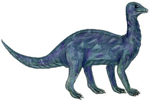 Mussaurus 