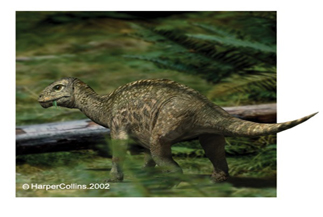 Mussaurus Dinosaur