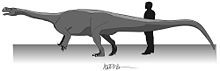 aardonyx_dino_rare