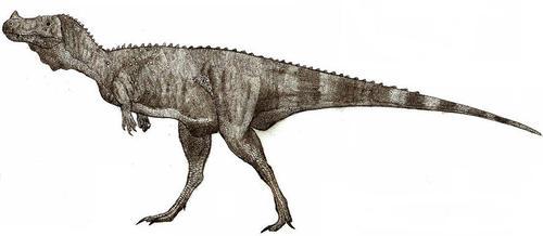 Camarillasaurus dinosaurs 